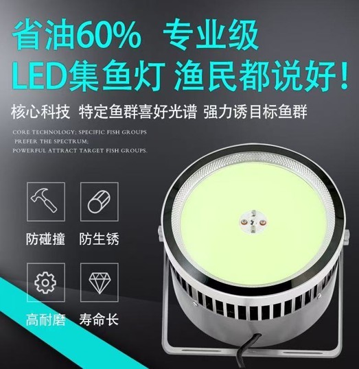 东莞集鱼灯